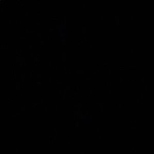 Meet your Posher, Shawn